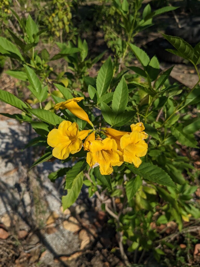 pxl 20230206 195822433 (2) pxl 20230206 195822433 (2)