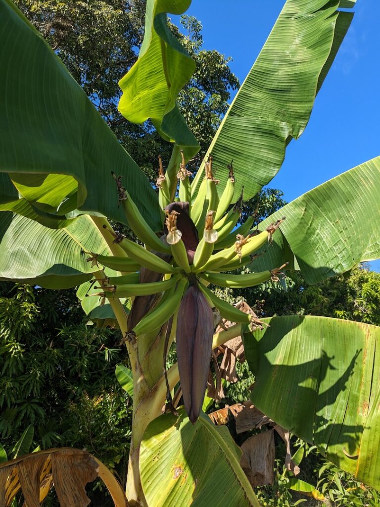 pxl 20230206 193936708 (1) pxl 20230206 193936708 (1)