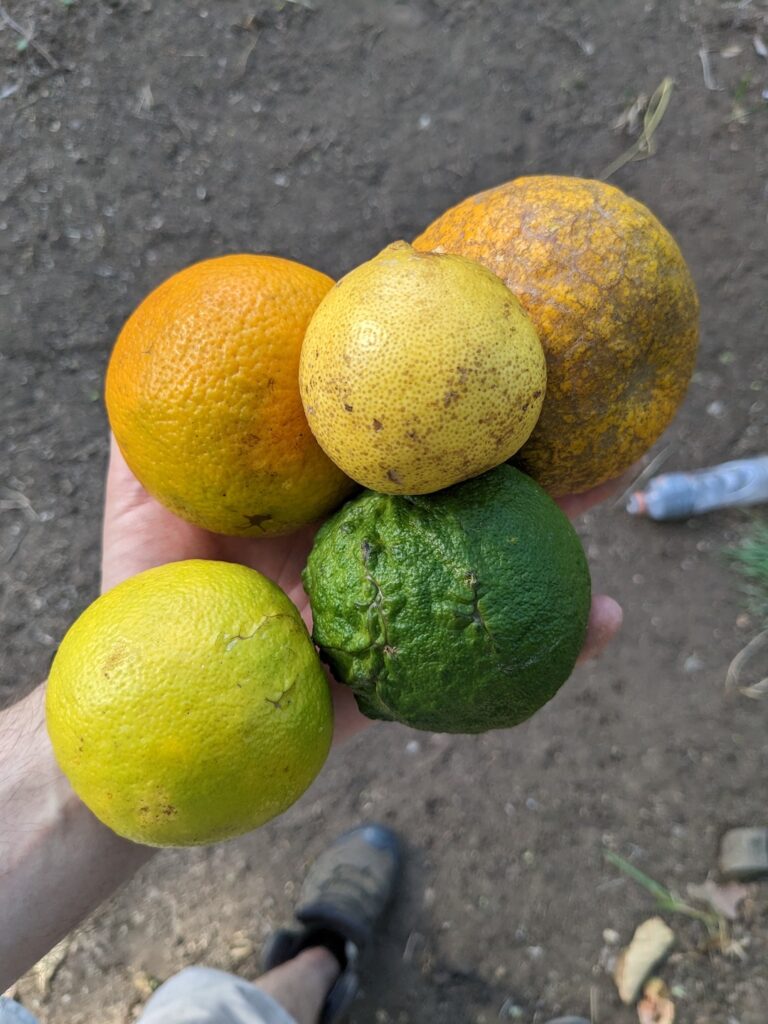 pxl 20230208 195511471 pxl 20230208 195511471