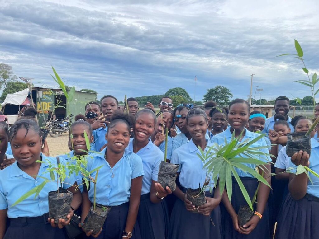 reforestation project header image