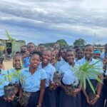 reforestation project header image